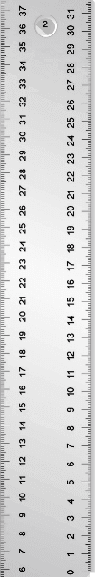 Navigation Bar